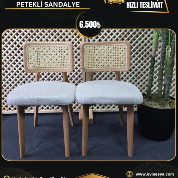 2 ADET BOHEM ZİYON PETEKLİ SANDALYE