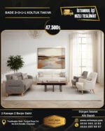 BADE 3+3+1+1 KOLTUK TAKIMI